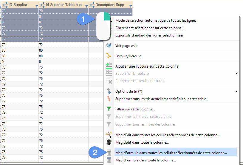 Custom fields, tuto 2 - image 7 - Launching MagicEdit